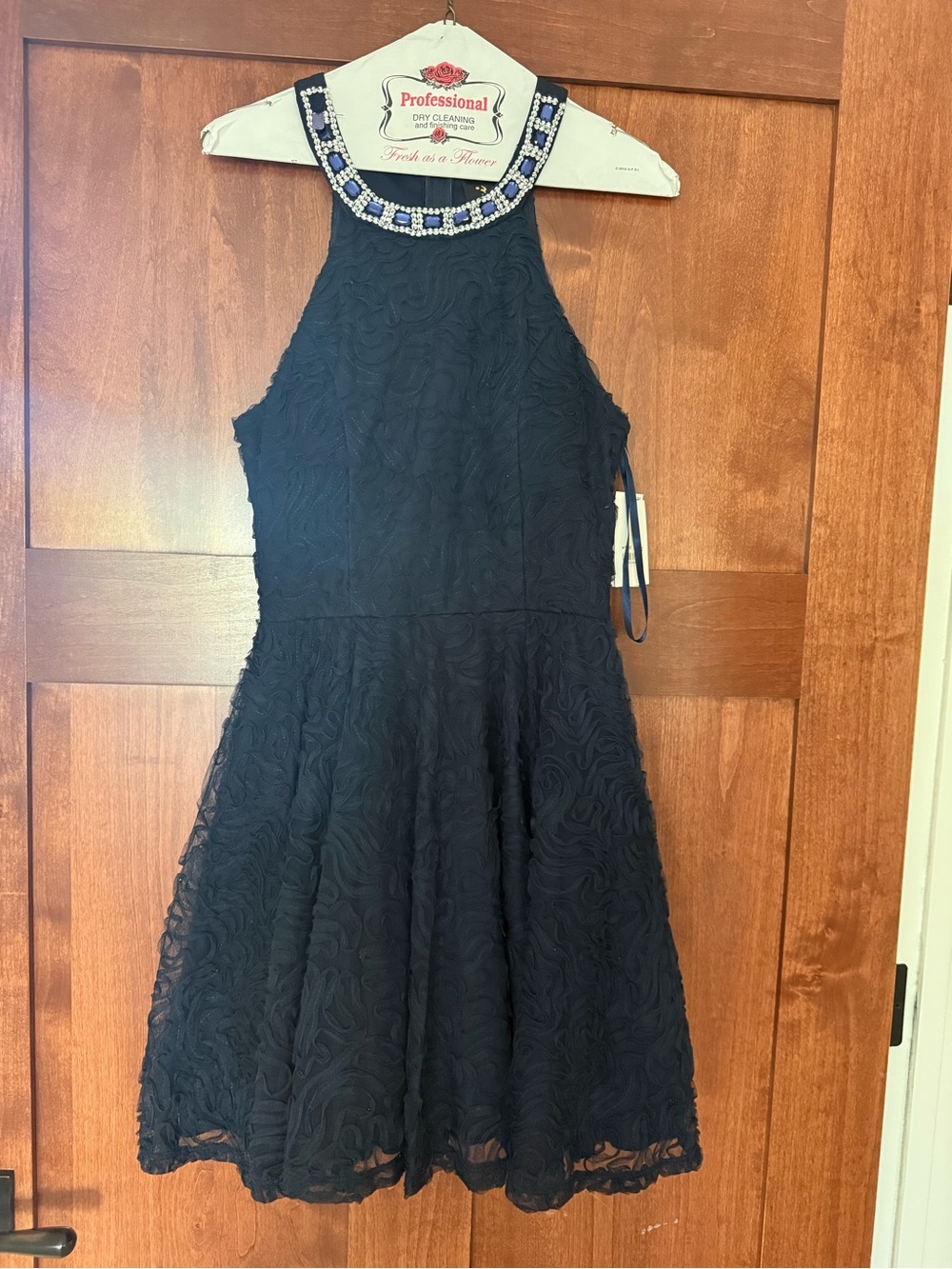 Trixxi Black Embroidered Halter Dress with Beaded Neckline
